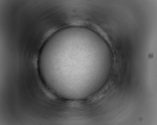 X0000102840106200809021346