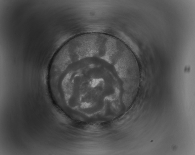 X0000102840107200809021346