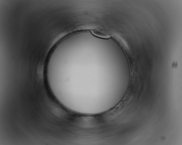 X0000102840108200809021346