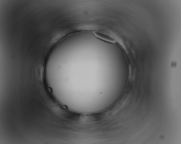 X0000102840109200809021346