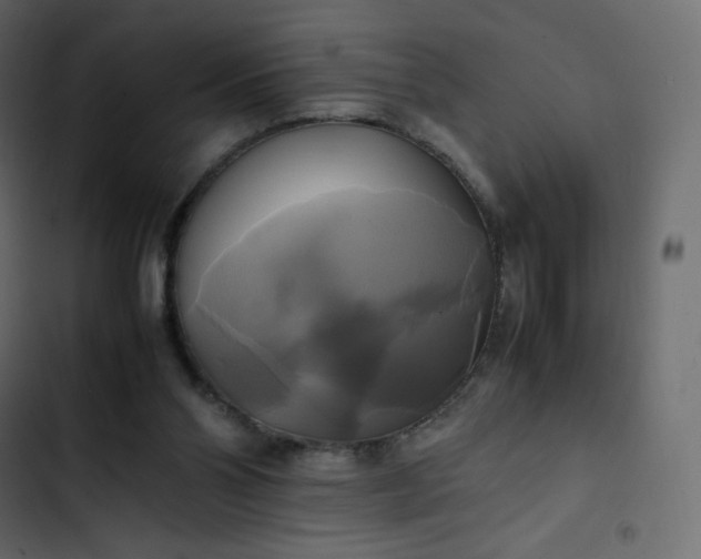 X0000102840110200809021346