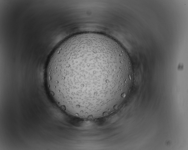 X0000102840111200809021346