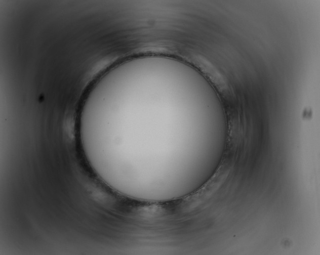 X0000102840112200809021346