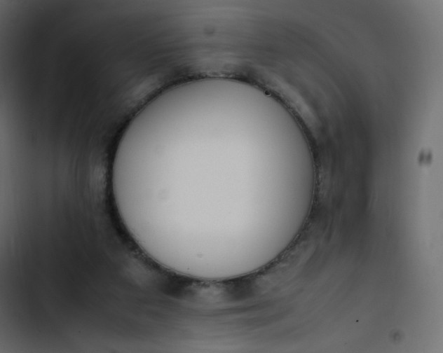 X0000102840113200809021346