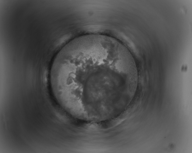 X0000102840115200809021346