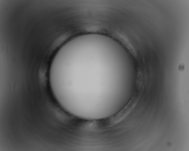 X0000102840116200809021346