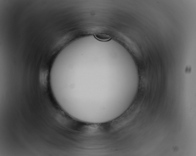 X0000102840118200809021346