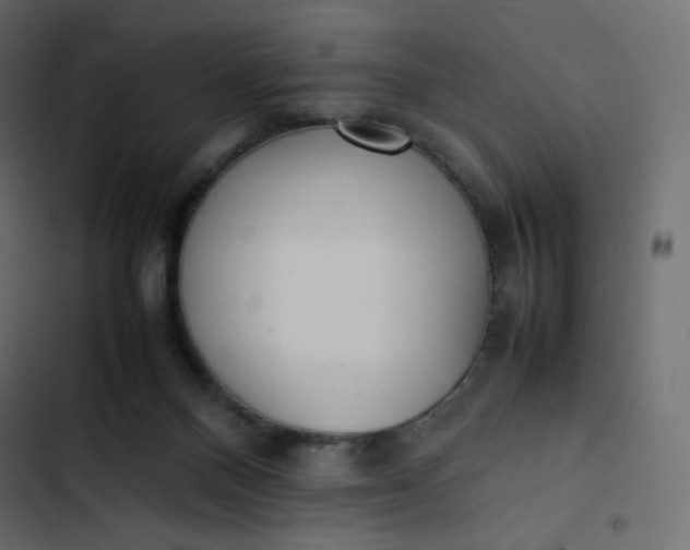 X0000102840120200809021346