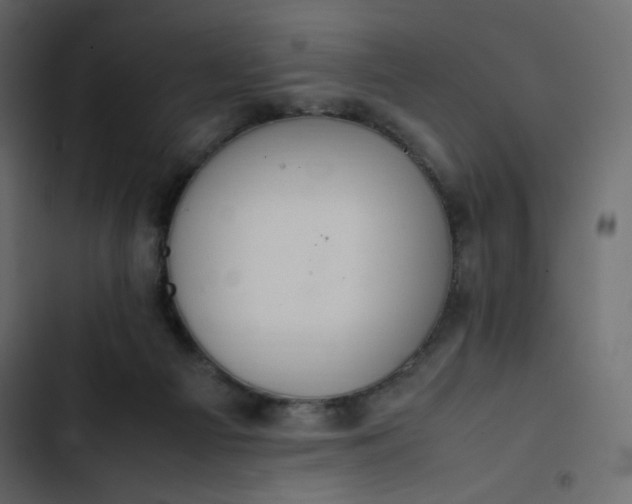 X0000102840121200809021346