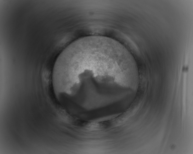 X0000102840123200809021346