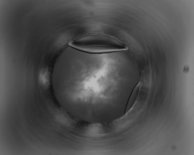 X0000102840124200809021346