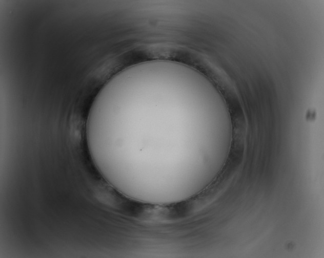 X0000102840125200809021346