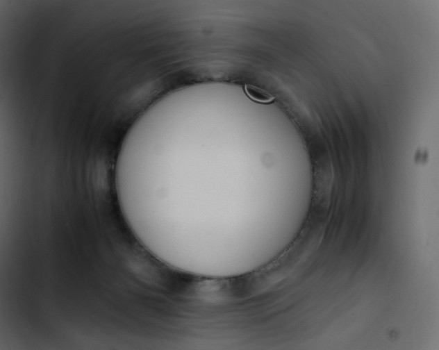 X0000102840126200809021346