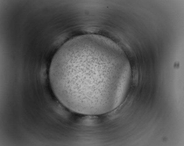 X0000102840128200809021346