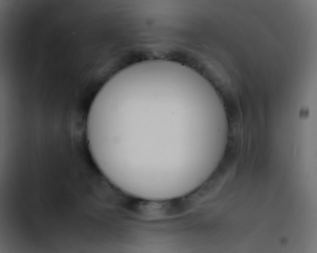 X0000102840129200809021346