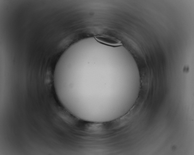 X0000102840132200809021346