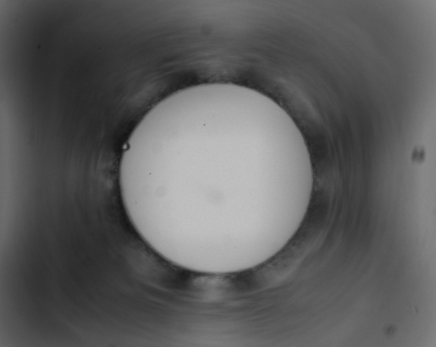 X0000102840133200809021346