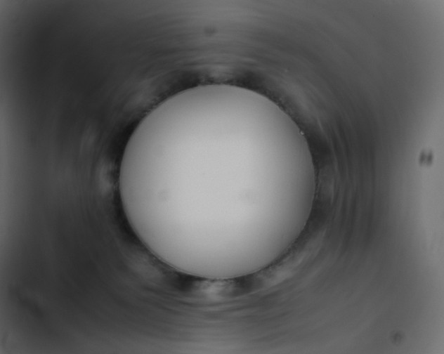 X0000102840135200809021346