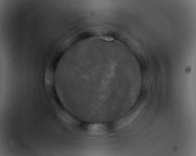 X0000102840137200809021346