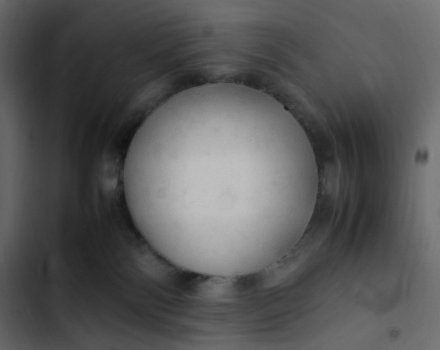 X0000102840138200809021346