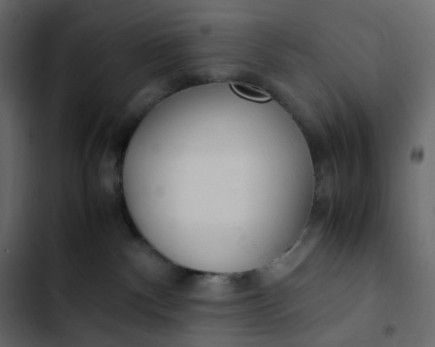 X0000102840140200809021346