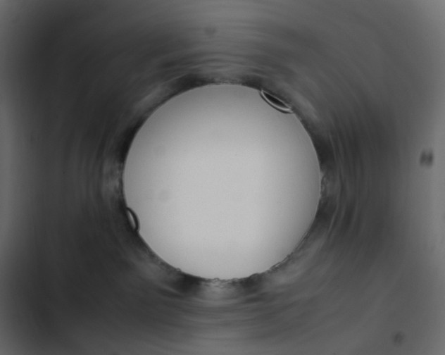 X0000102840141200809021346