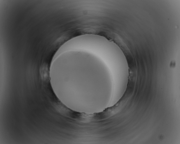 X0000102840143200809021346