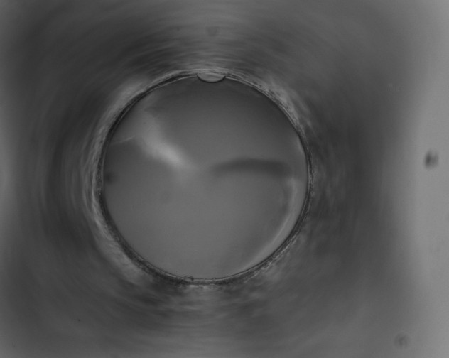 X0000102840145200809021345