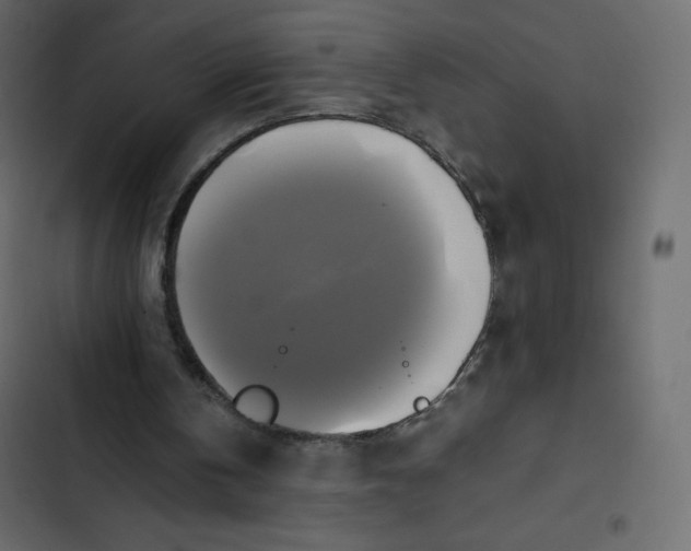 X0000102840146200809021345