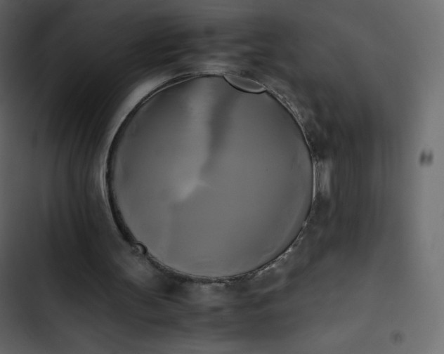 X0000102840147200809021345