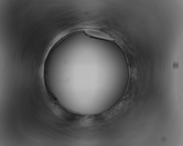 X0000102840148200809021345