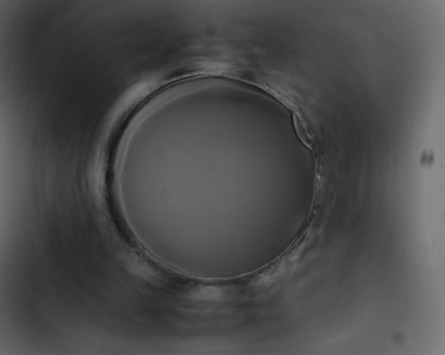 X0000102840149200809021345