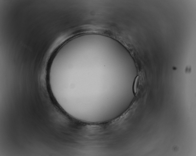 X0000102840150200809021345