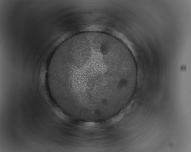 X0000102840153200809021345