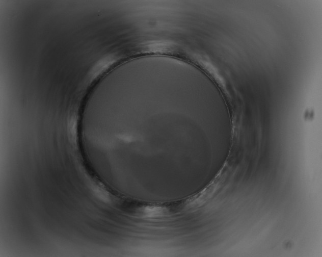 X0000102840154200809021345