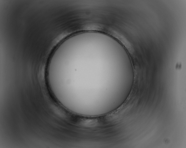 X0000102840155200809021345