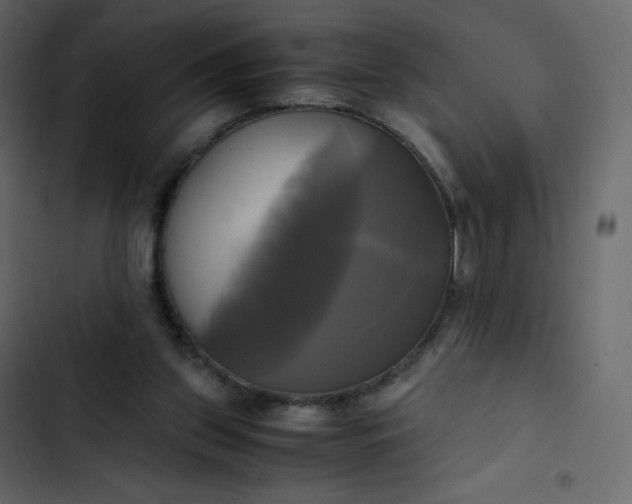 X0000102840157200809021345