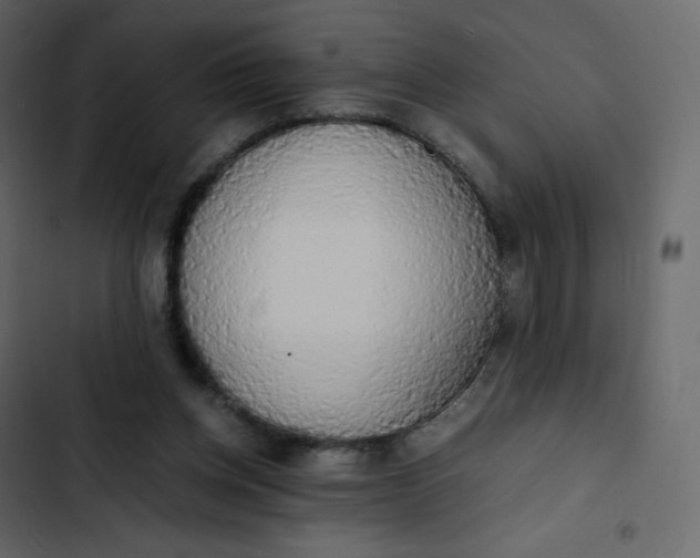 X0000102840158200809021345