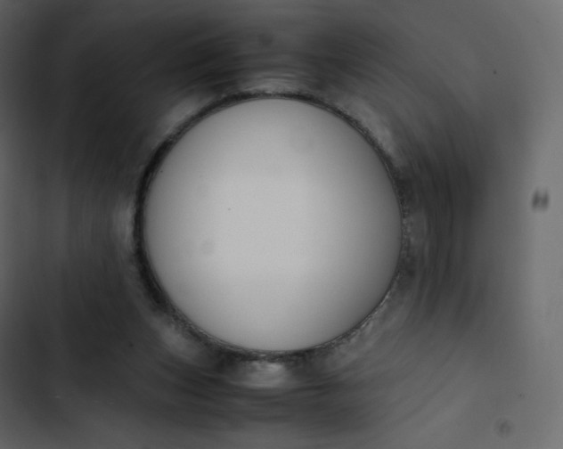 X0000102840159200809021345