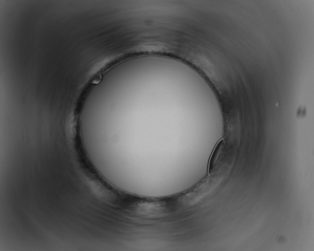 X0000102840160200809021345