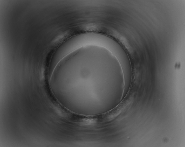 X0000102840161200809021345