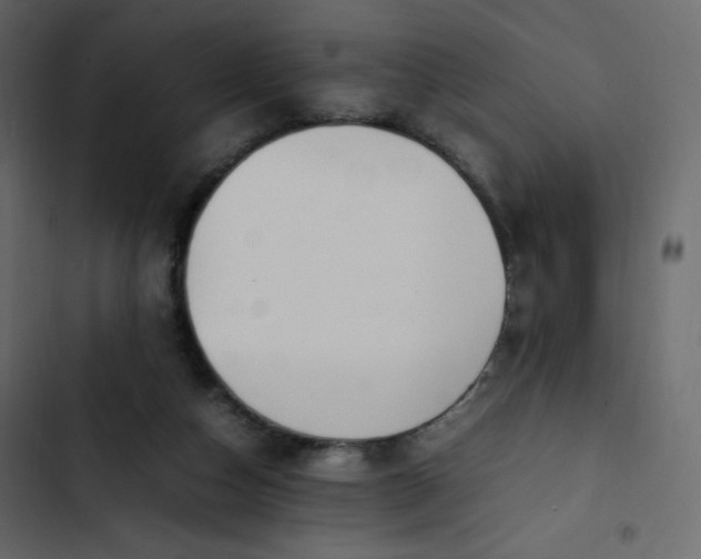 X0000102840162200809021345