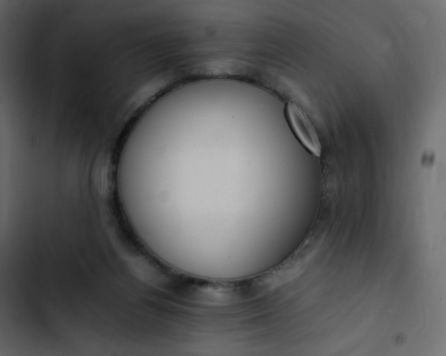 X0000102840164200809021345