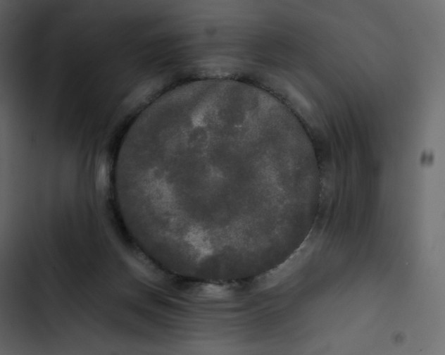 X0000102840166200809021345