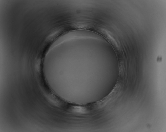 X0000102840167200809021345