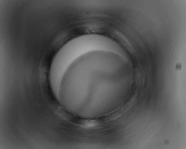 X0000102840169200809021345