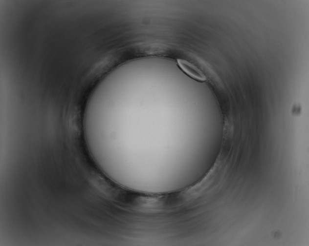 X0000102840170200809021345