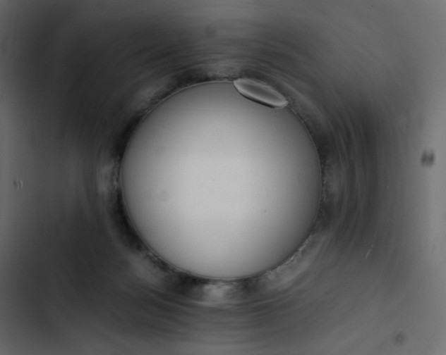 X0000102840172200809021345