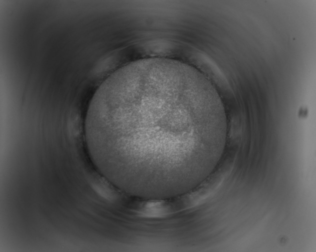 X0000102840173200809021345