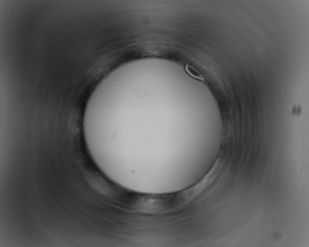 X0000102840174200809021345